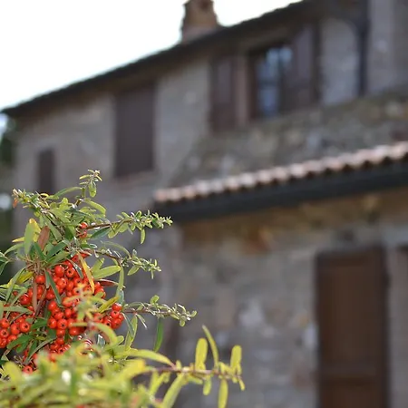 La Casaccia Landhaus Venturina Terme