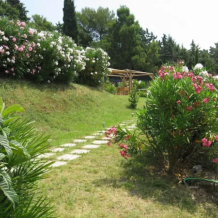 La Casaccia Venturina Terme