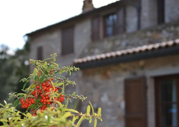 La Casaccia Landhuis Venturina Terme